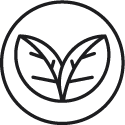 Seal Image 6