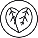 Seal Image 9