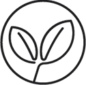 Seal Image 2